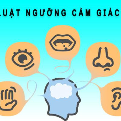 Quy luật ngưỡng cảm giác là gì? Ví dụ về quy luật ngưỡng cảm giác