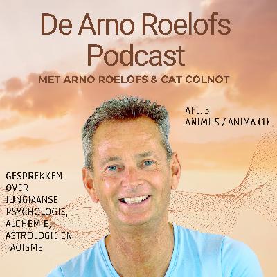 De Arno Roelofs Podcast Afl. 3: Animus / Anima (1)