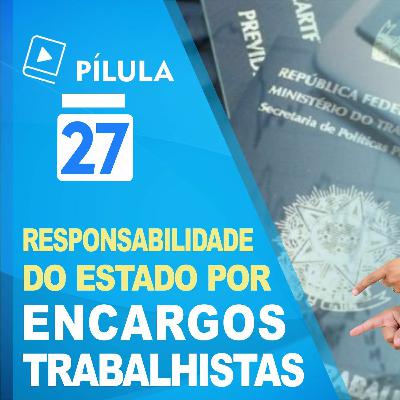🔴 Pílula 27 - Terceirização Responsabilidade Do Estado Por Encargos Trabalhistas