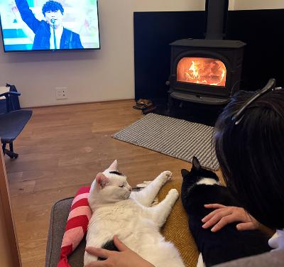 #1405 大晦日は紅白を見る？ from Radiotalk