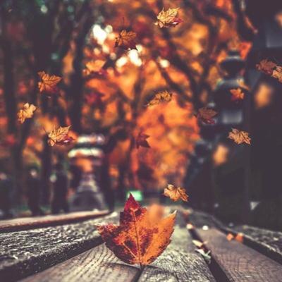 Último episódio desta temporada - obrigada por me ler e ouvir ❤️✍️🦋🧘‍♀️🤍