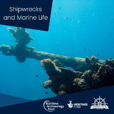 2: Shipwrecks and Marine Life