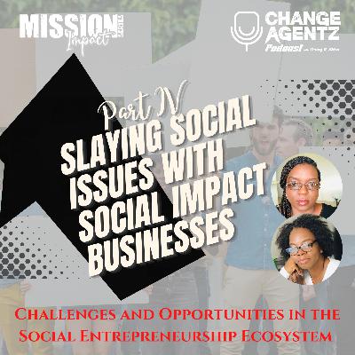 Slaying Social Issues with Social Impact Businesses - Part 4: Challenges and Opportunities