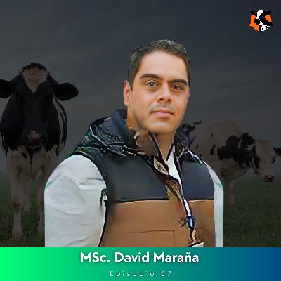 #67 - Ecografía reproductiva: Diagnóstico temprano y eficiencia lechera - MSc. David Maraña