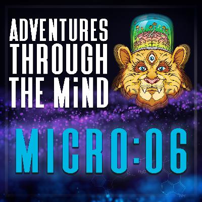 MICRO:06 - MDMA's Gift to Intimate Partners and Couple's Communication, with Charles Wininger