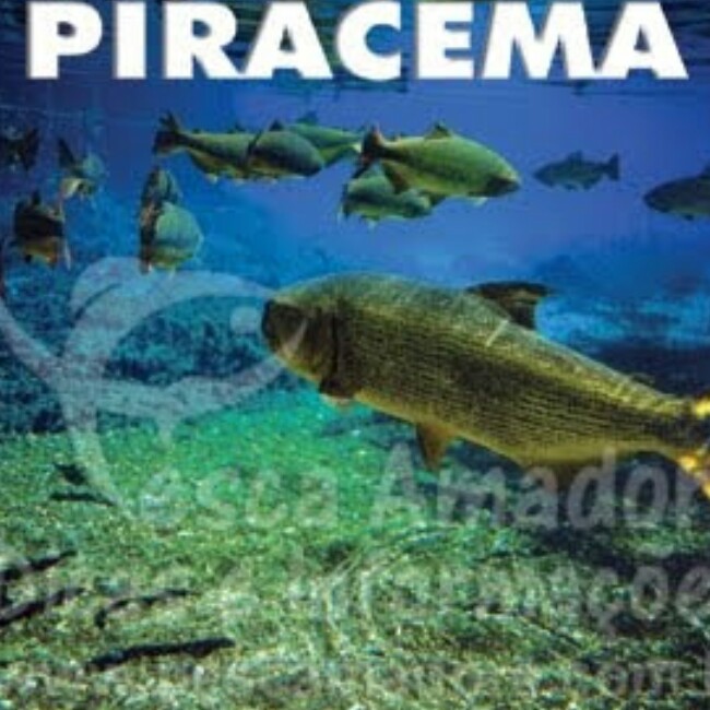 PIRACEMA: