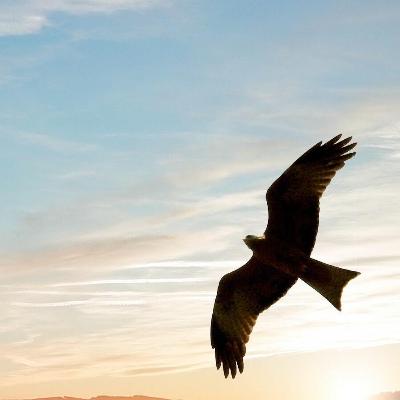 仕事の準備方法【前編】