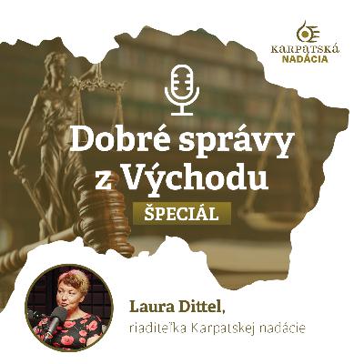 #29 Paradoxne o výzvach a problémoch v mimovládnom sektore #29 Paradoxne o výzvach a problémoch v mimovládnom sektore