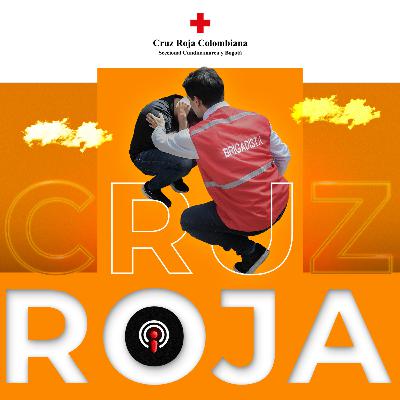 Cómo actuar de manera correcta cuando ocurre un sismo Cómo actuar de manera correcta cuando ocurre un sismo