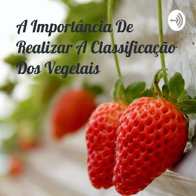 A importância de realizar a classificação dos vegetais