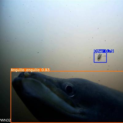 03 Paling - Soundwalk