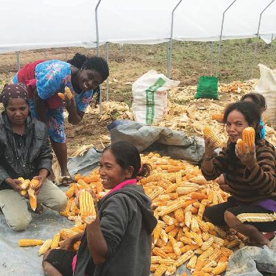 Empowering the Youth Empowering the Youth