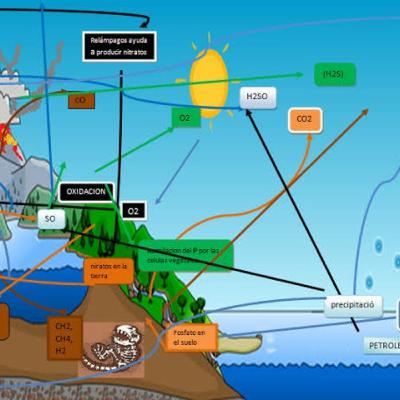 CICLOS BIOGEOQUIMICOS