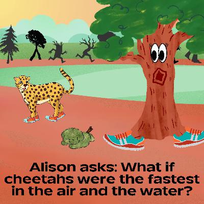 369. Alison asks: What if cheetahs were the fastest in the air and the water?