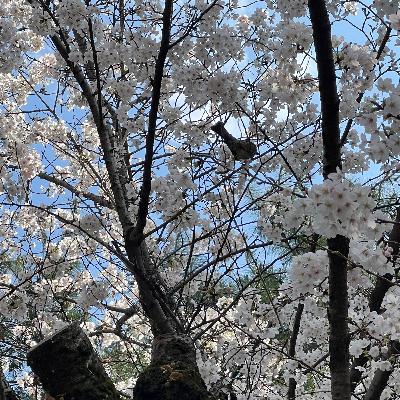 ＃70　また学びました