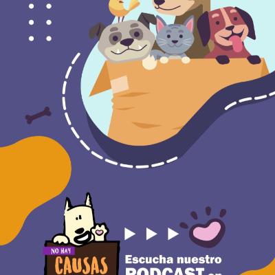 VOCES DE ANIMALES NO HUMANOS VOCES DE ANIMALES NO HUMANOS