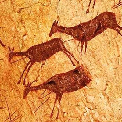 Revisão de Geografia TFJ IV Revisão de Geografia TFJ IV