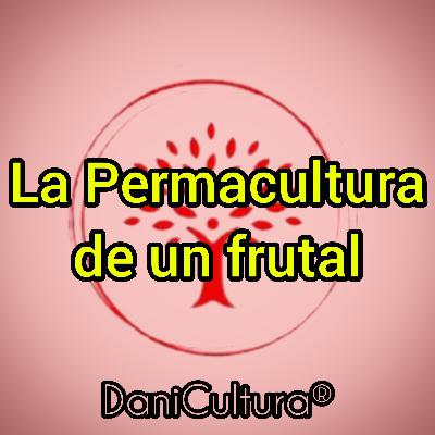La Permacultura de un frutal