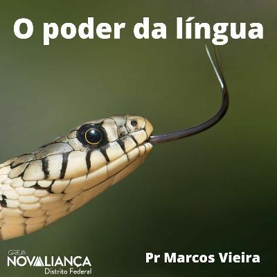 O PODER DA LÍNGUA O PODER DA LÍNGUA