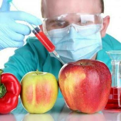 Alimentos transgénicos