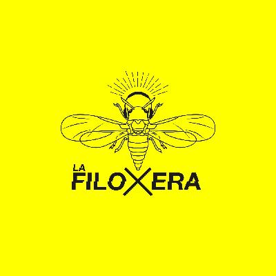 La Filoxera 4x13 I ¡Chupito!