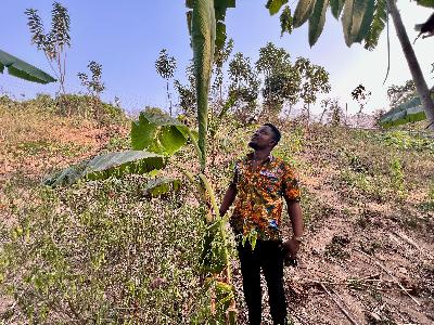 EarthStory in Ghana Part 2: Gardens of Ghana (Video) EarthStory in Ghana Part 2: Gardens of Ghana (Video)
