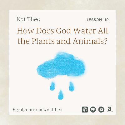 How Does God Water the Plants and Animals? Lesson 110
