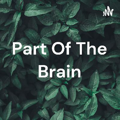 Part of the brain