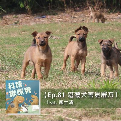 Ep.81 遊蕩犬害覓解方 feat. 顏士清 aka 動保野保平衡點 Ep.81 遊蕩犬害覓解方 feat. 顏士清 aka 動保野保平衡點