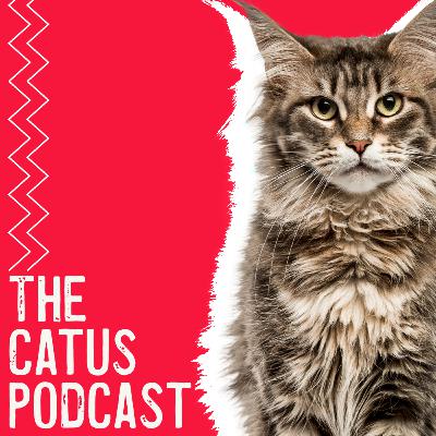 The Catus Podcast