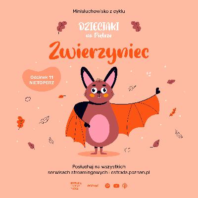 ZWIERZYNIEC: ODC 11 - NIETOPERZ