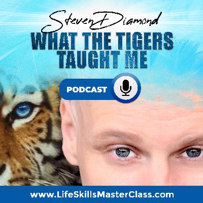 What The Tigers Taught Me - Steven Diamond