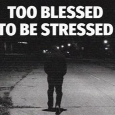 Wiz Khalifa – Too Blessed to Be Stressed