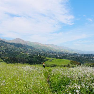 Climate Change: What Are The Most Effective Ways To Reduce Your Carbon Footprint?