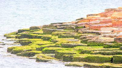 How to get to Barangaroo gardens in Sydney. Take our podcast tour