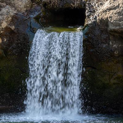 41. Lessons from the Desert: Trusting a Faithful God (Exodus 15-18) 41. Lessons from the Desert: Trusting a Faithful God (Exodus 15-18)