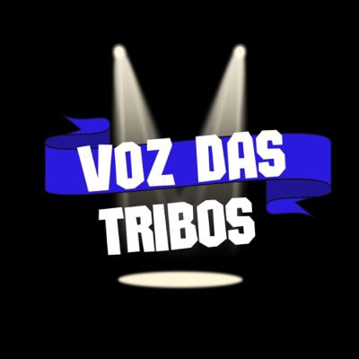 OFICIAL RÁDIO VDT - BRUNO TONZANO O 13TREZERA