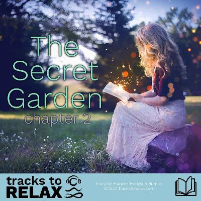 The Secret Garden Chapter 2
