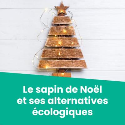 Le sapin de Noël et ses alternatives écologiques
