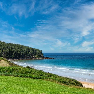 Resting With Awareness