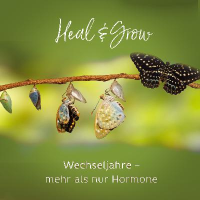 #31: Wechseljahre – mehr als nur Hormone #31: Wechseljahre – mehr als nur Hormone