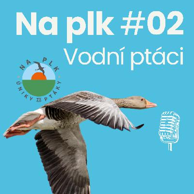 Na plk #02 : O kruté zimě, vodních ptácích, jejich adaptacích, i o síle lidské mysli