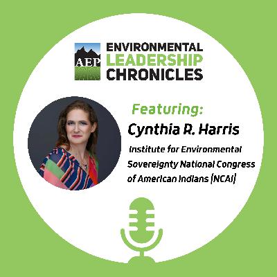 Protecting Native Lands: Environmental Sovereignty, ft. Cynthia R. Harris, National Congress of American Indians’ Institute for Environmental Sovereignty