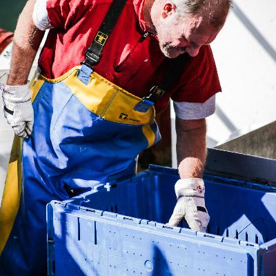 Fisheries and the fall of Chevron