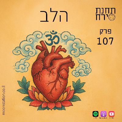 פרק 107 - הלב פרק 107 - הלב
