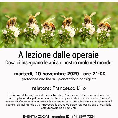 A lezione dalle operaie - Cosa ci insegnano le api sul nostro ruolo nel mondo A lezione dalle operaie - Cosa ci insegnano le api sul nostro ruolo nel mondo