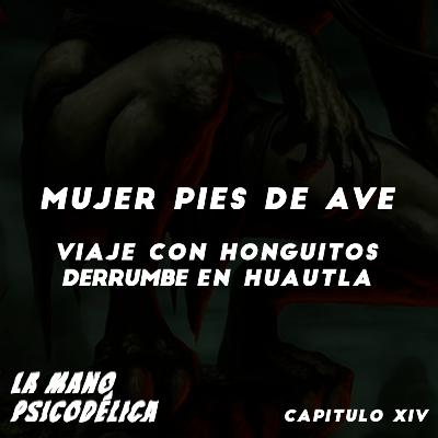 XIV.¡Viaje con Honguitos Sagrados Derrumbe en Huautla!: Mujer pies de ave XIV.¡Viaje con Honguitos Sagrados Derrumbe en Huautla!: Mujer pies de ave