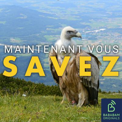 Qu’est-ce que le vulturing, ce comportement toxique post-rupture ? Qu’est-ce que le vulturing, ce comportement toxique post-rupture ?