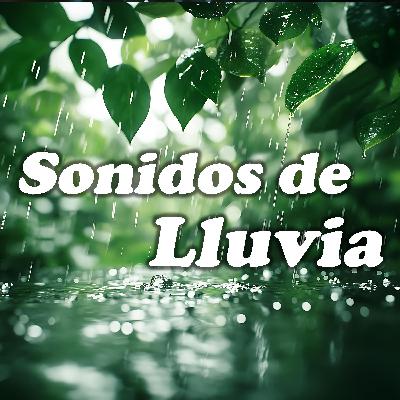 Relájate con el Sonido de la Lluvia en una Aldea Tranquila