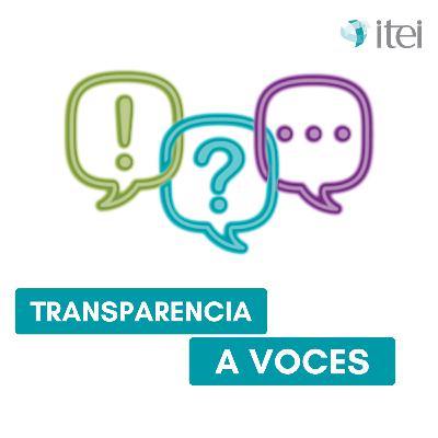 T2 2."Consejo consultivo: La representación de la ciudadanía" T2 2."Consejo consultivo: La representación de la ciudadanía"